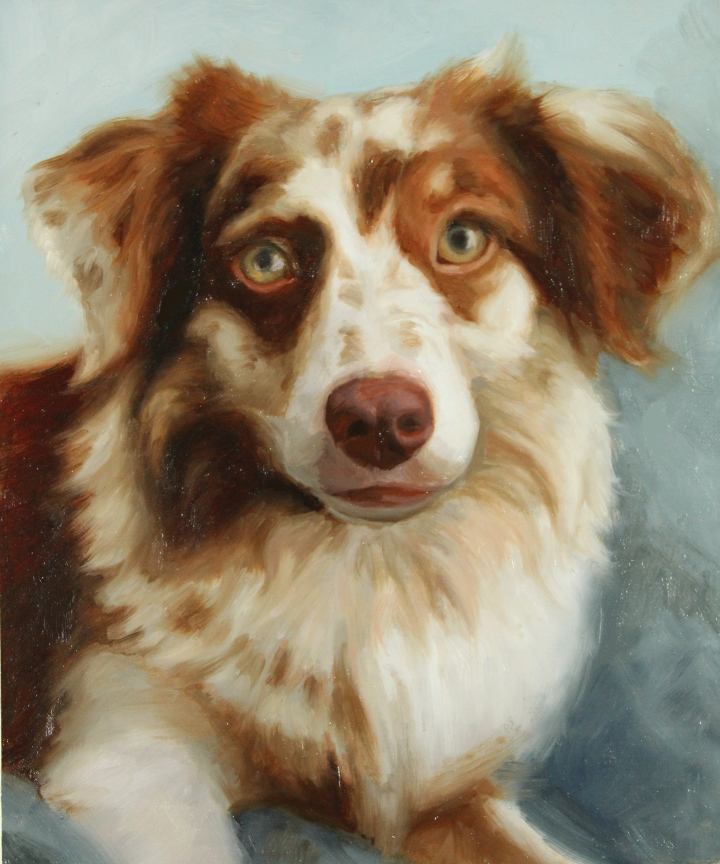 Example of pet dog portrait